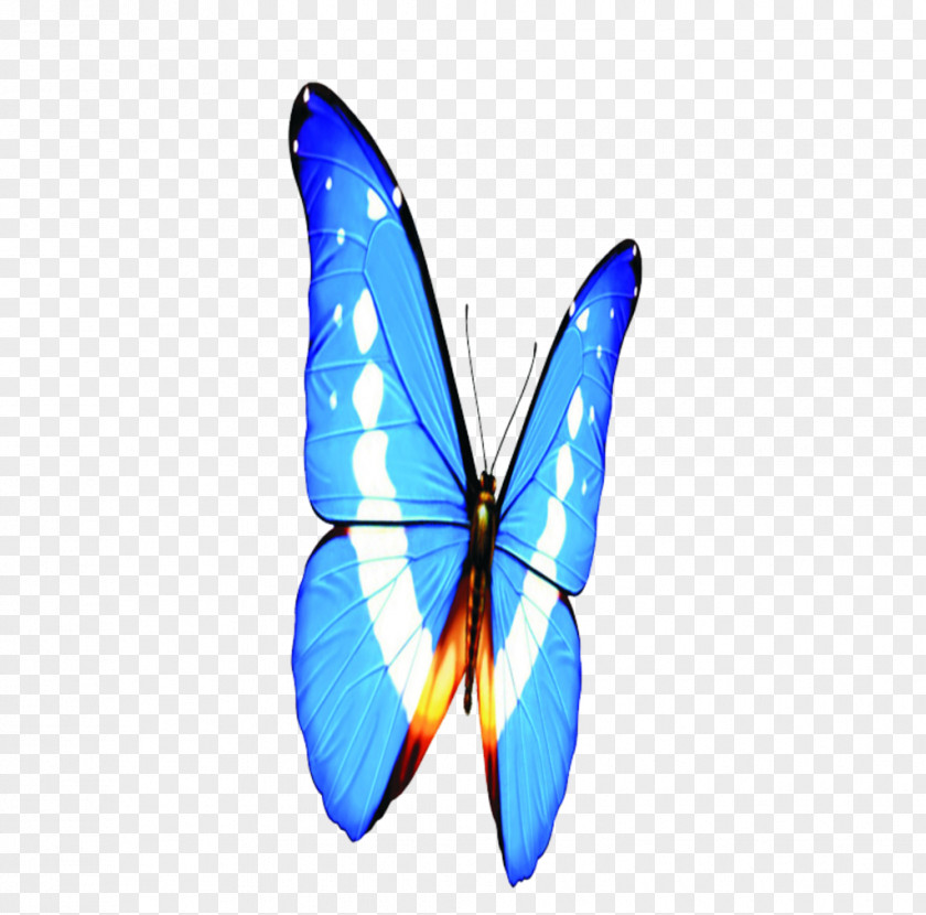 Animatronics Cartoon Monarch Butterfly Animation Brush-footed Butterflies Image PNG