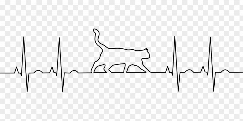 Cat Veterinarian Medicine Electrocardiography Disease PNG