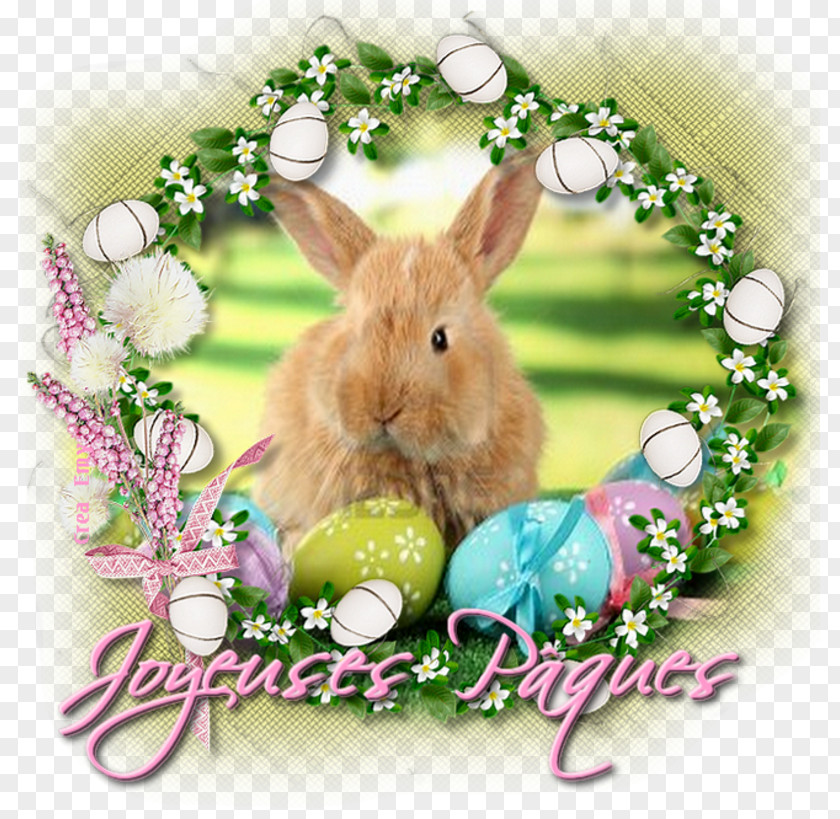 Easter Bunny Domestic Rabbit Party Passover PNG
