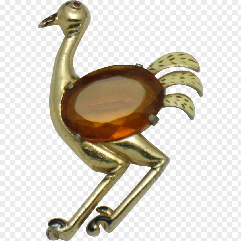 Ostrich Body Jewellery 01504 Water Bird PNG