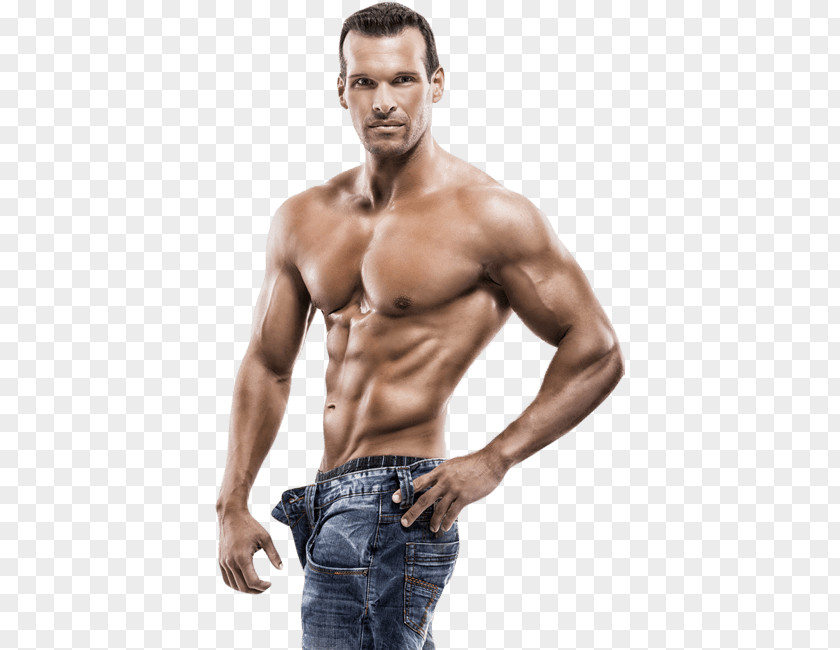Stock Photography Muscle PNG