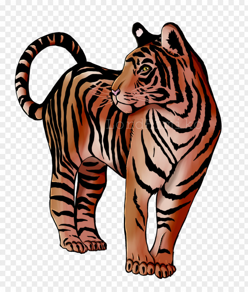 Tiger Cat Wildlife Clip Art PNG