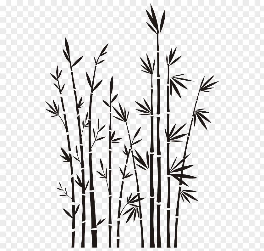 Bamboo Wall Decal Vinyl Group Sticker PNG