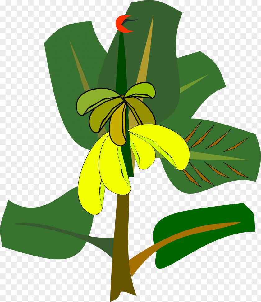 Banana Leaves Split Clip Art PNG