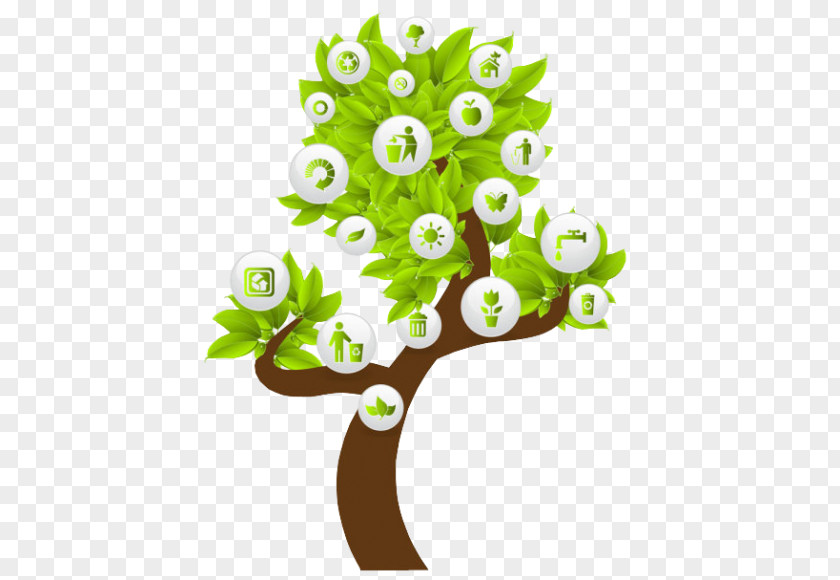 Family Tree Environment Environmental Protecti Protection Natural Sustainability Vector Graphics Environmentally Friendly PNG