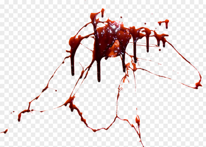Blood Clip Art Image Transparency PNG