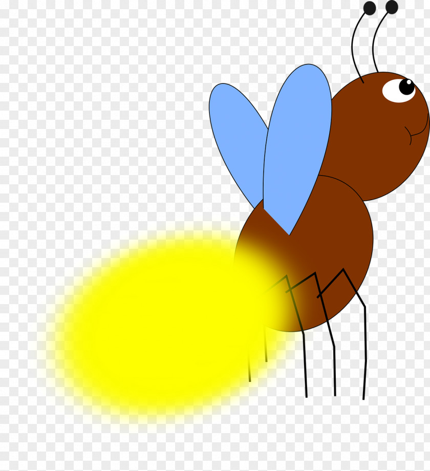 Butterfly Beetle Firefly Clip Art PNG