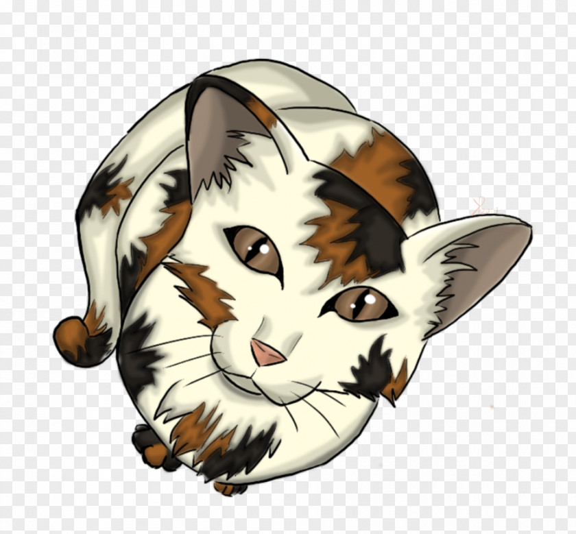 Cat Whiskers Illustration Cartoon Insect PNG