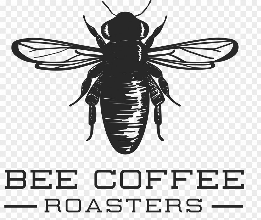 Coffee Honey Bee Cafe Latte PNG