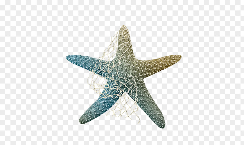 Colorful Starfish Clip Art PNG