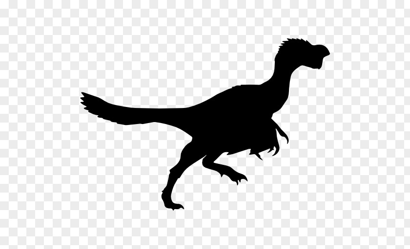Dinosaur Vector Tyrannosaurus Velociraptor Brachiosaurus Citipati PNG