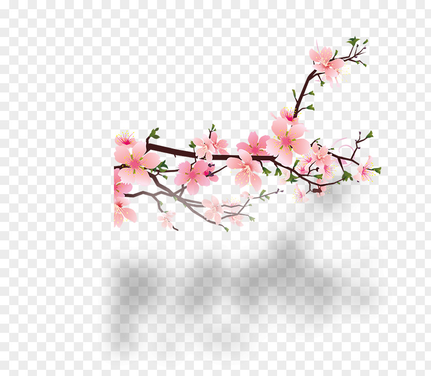 Plum Flower Blossom Peach Clip Art PNG