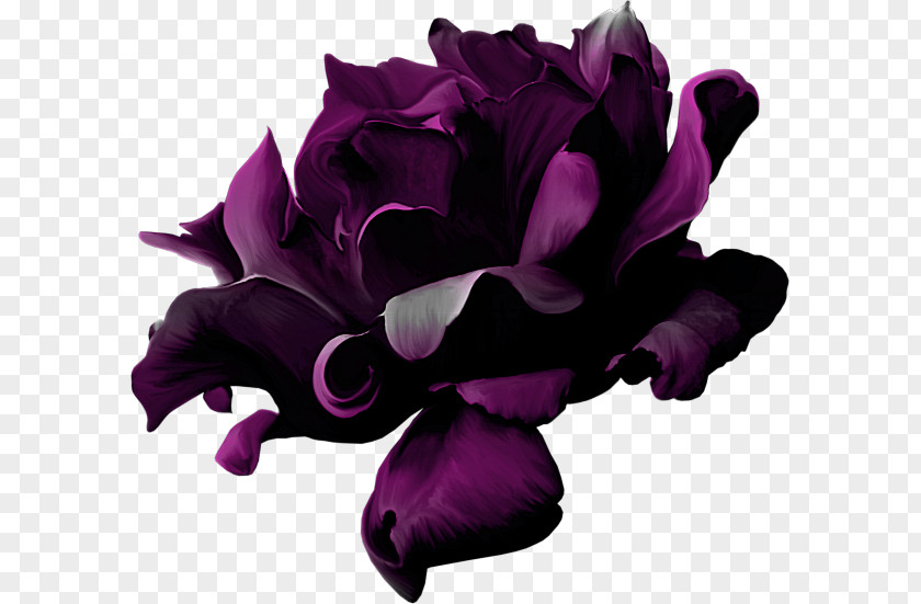 Purple Violet Flower PNG