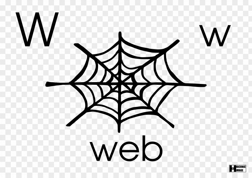 Spider Web Drawing PNG