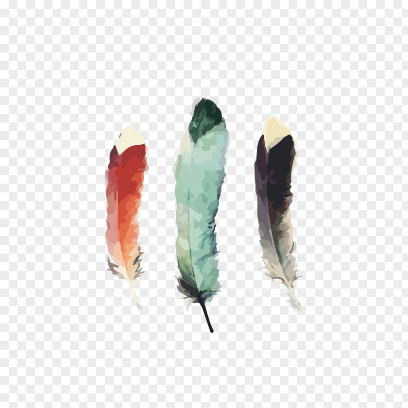 Watercolor Feathers,Art Exhibition Watercolour Techniques Amy Hamilton Design + Illustration Painting Feather PNG