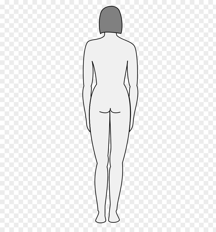 Women Body Silhouette Human Female Shape Clip Art PNG