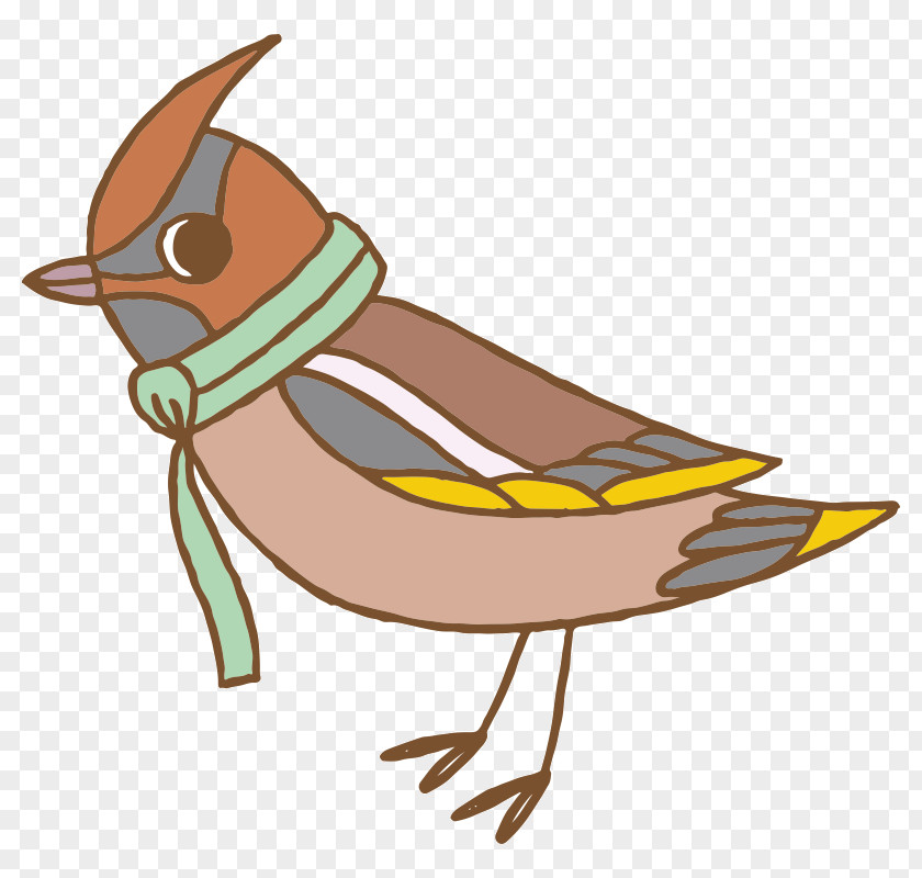 Bird Beak Sparrow Reptile Clip Art PNG