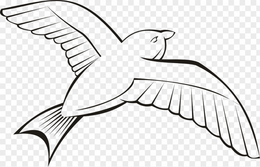 Bird Flight Clip Art Heron Pigeons And Doves PNG