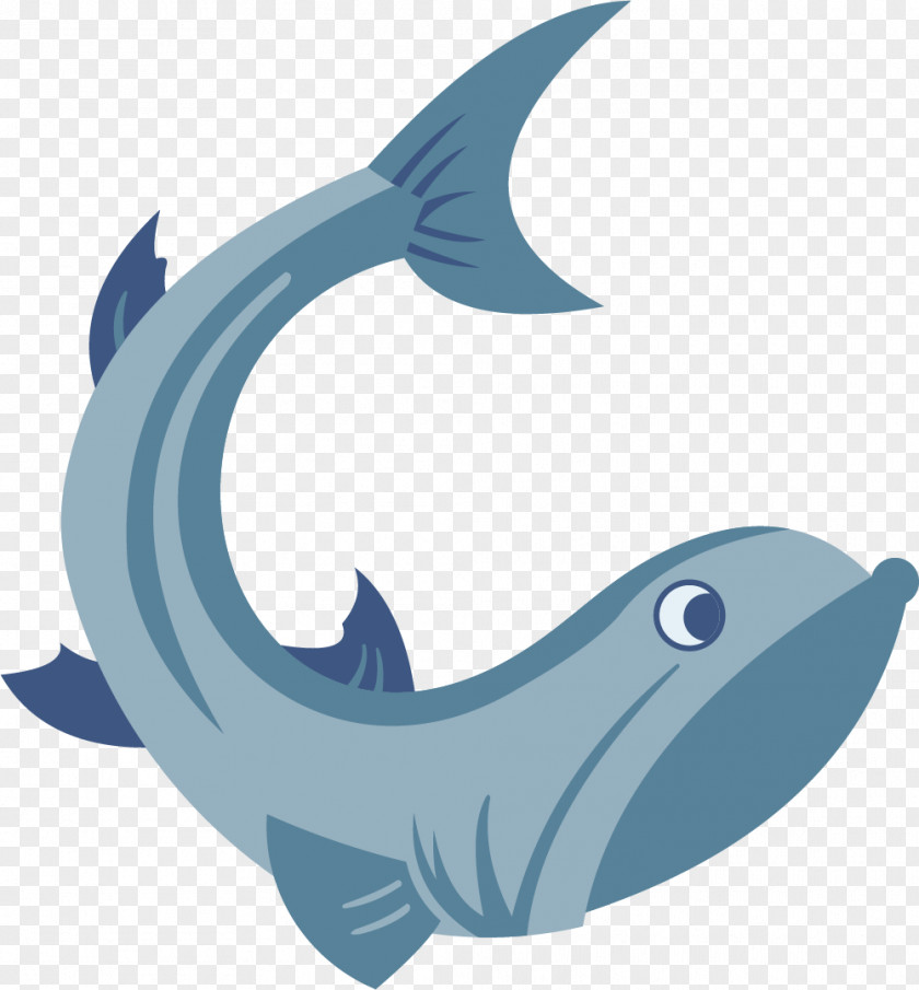 Blue Fish Dolphin Shark Text Illustration PNG