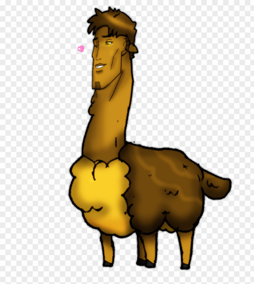 Camel Llama Pack Animal Drawing PNG