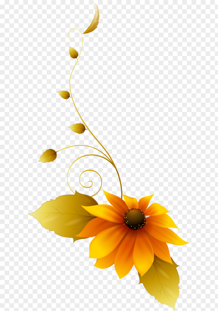 Design Common Sunflower Floral Still Life Photography Cut Flowers PNG