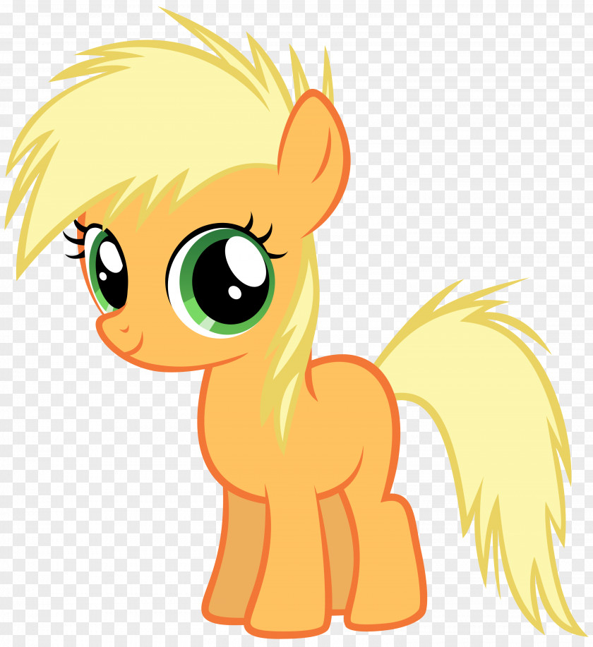 My Little Pony Rainbow Dash Pinkie Pie Rarity Applejack PNG