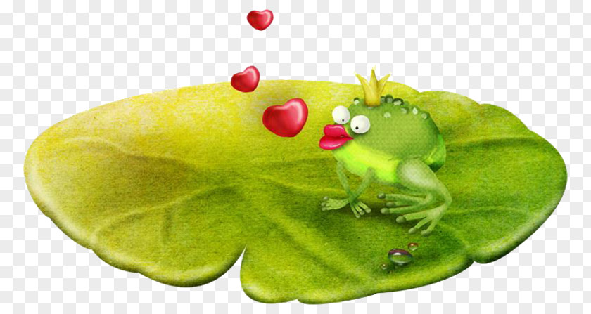 Rana Frog PhotoScape Clip Art PNG