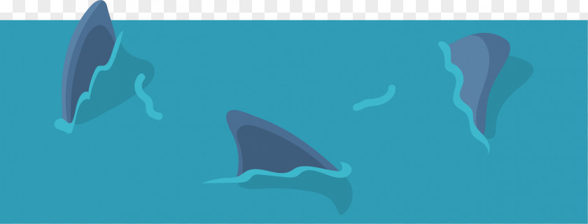 Shark Waters Common Bottlenose Dolphin Marine Biology Water PNG