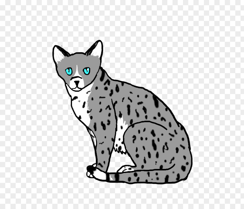 Silver Splash California Spangled Ocicat Whiskers Tabby Cat Wildcat PNG