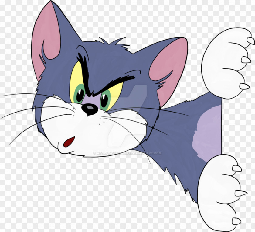 Cat Tom DeviantArt And Jerry PNG