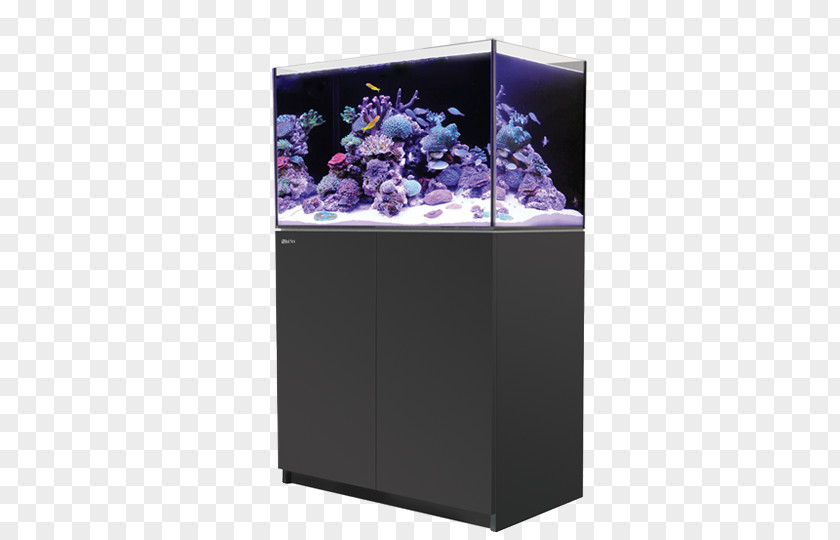 Fish Tank Cabinets Red Sea Reefer 250 Reef Aquarium PNG