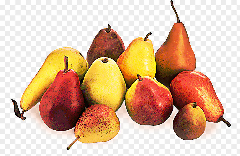 Fruit Tree Common Fig PNG