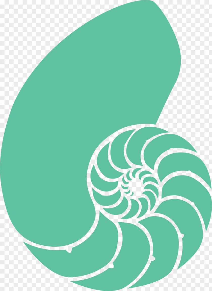 Green Snail Seashell Nautilidae Clip Art PNG