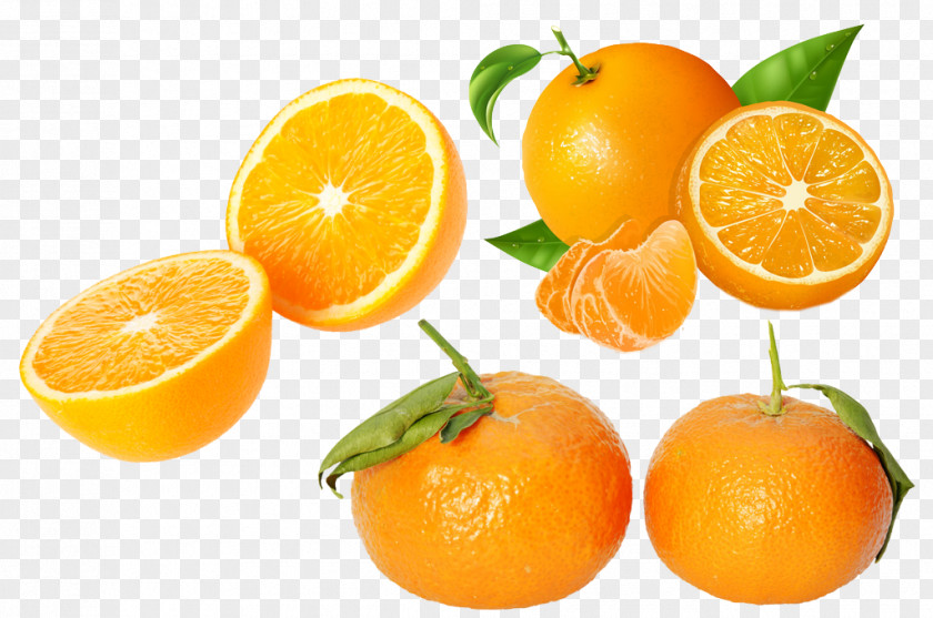 Oranges Orange Elements Juice Tangerine Citrus Xd7 Sinensis Fruit PNG