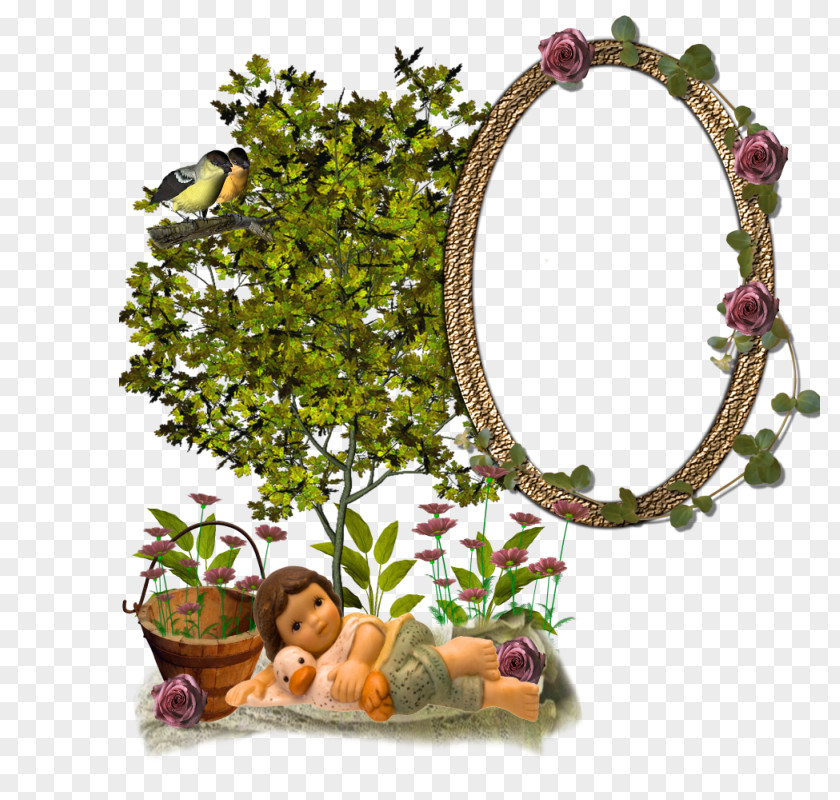 Picture Frames Photography Drawing Ornament PNG