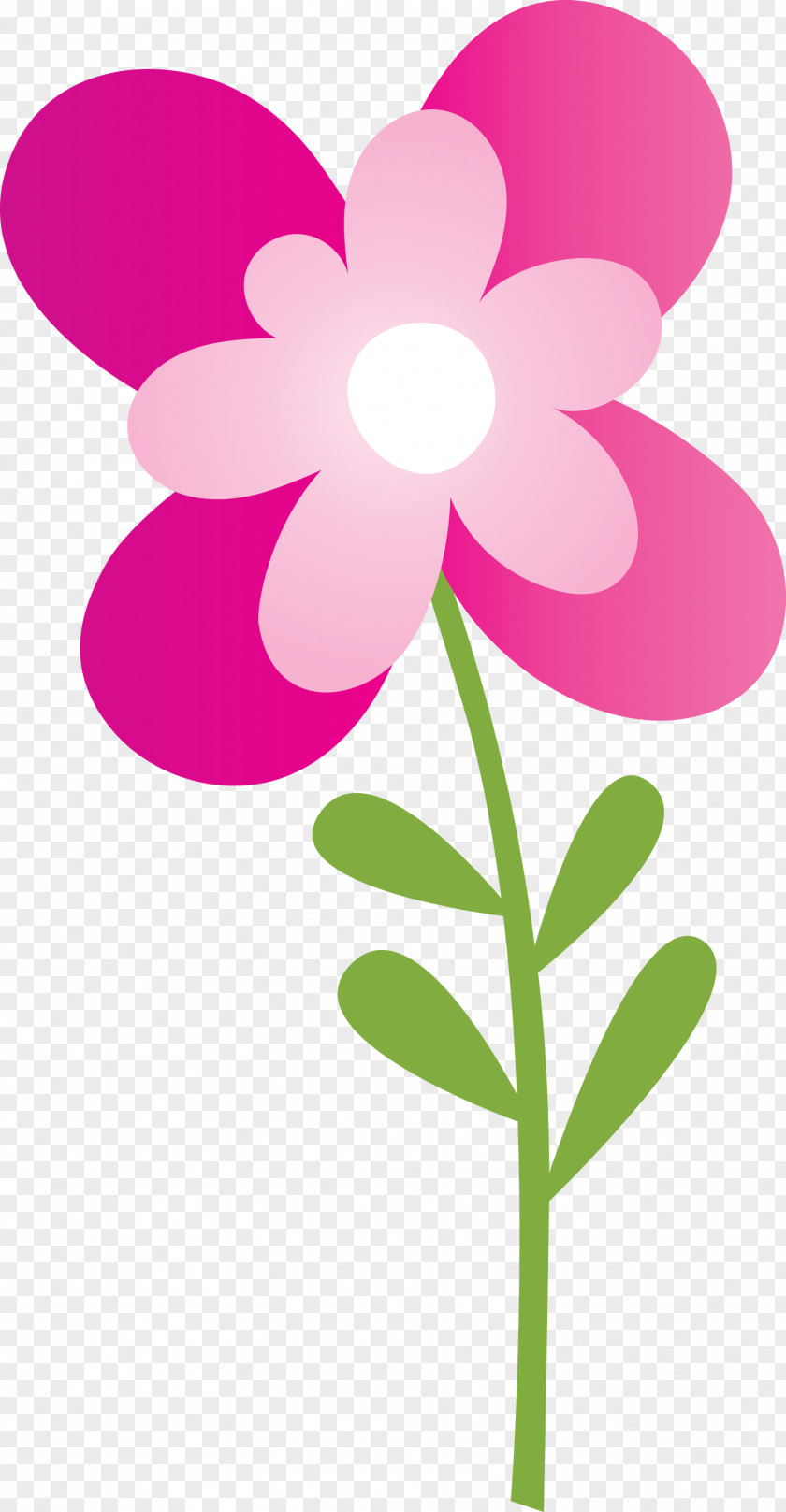 Pink Flower Petal Plant Violet PNG