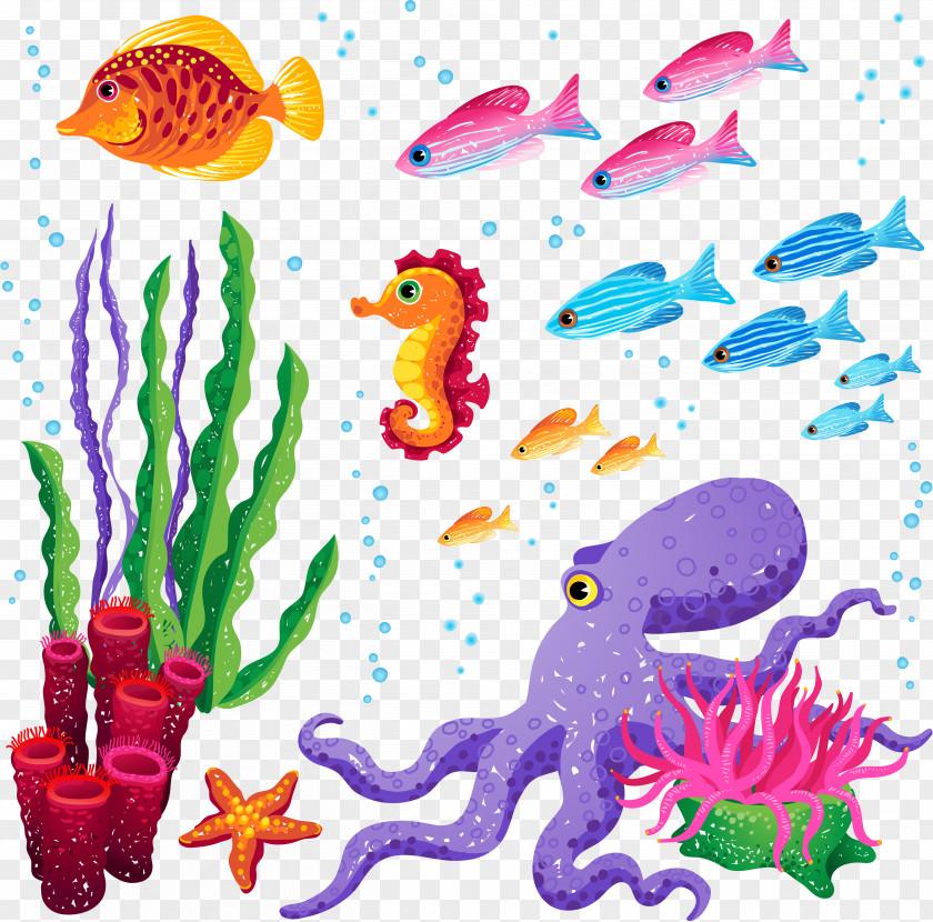 Sea Fish PNG