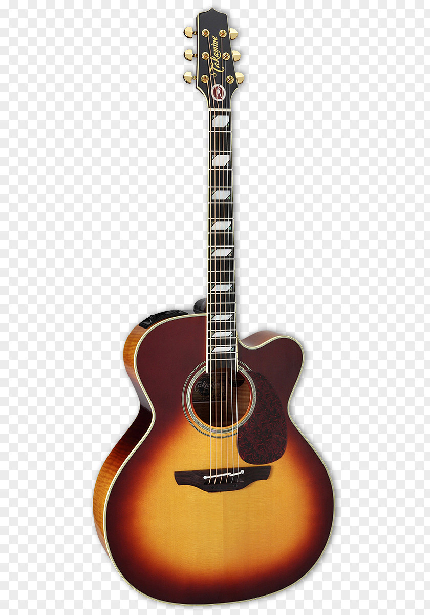 Acoustic Guitar C. F. Martin & Company 00-17S Acoustic-electric PNG