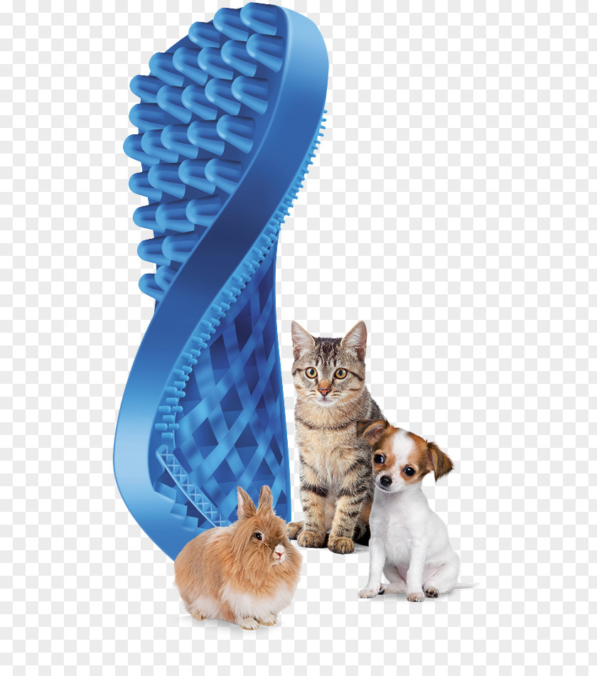 Cat Comb Dog Hairbrush PNG