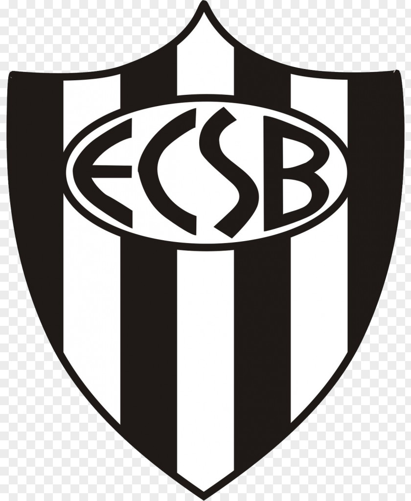 Football EC São Bernardo Futebol Clube Grêmio Osasco Audax Esporte Sports PNG