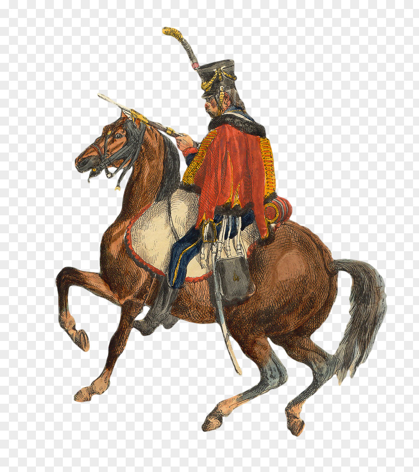 France Polish Hussars Cavalry Regiment Hundred Days PNG