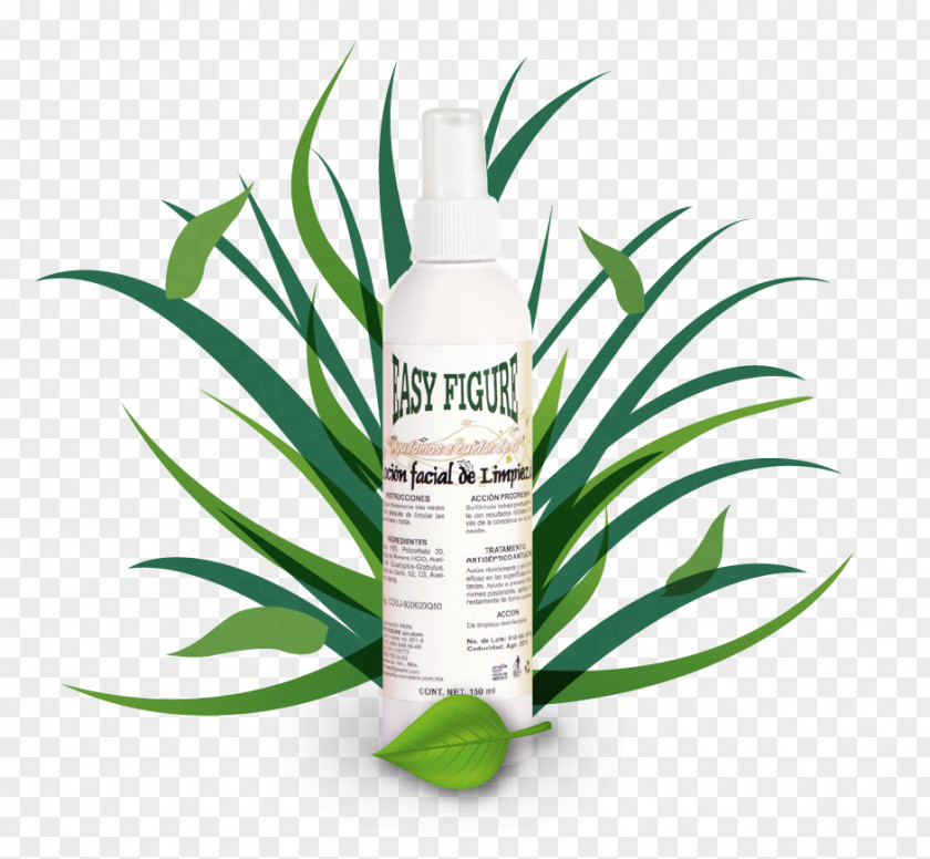Plant Herbalism Lotion PNG
