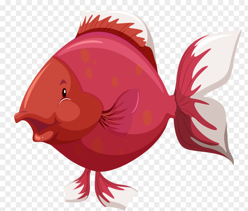 Red Fish Anatomy Clip Art PNG