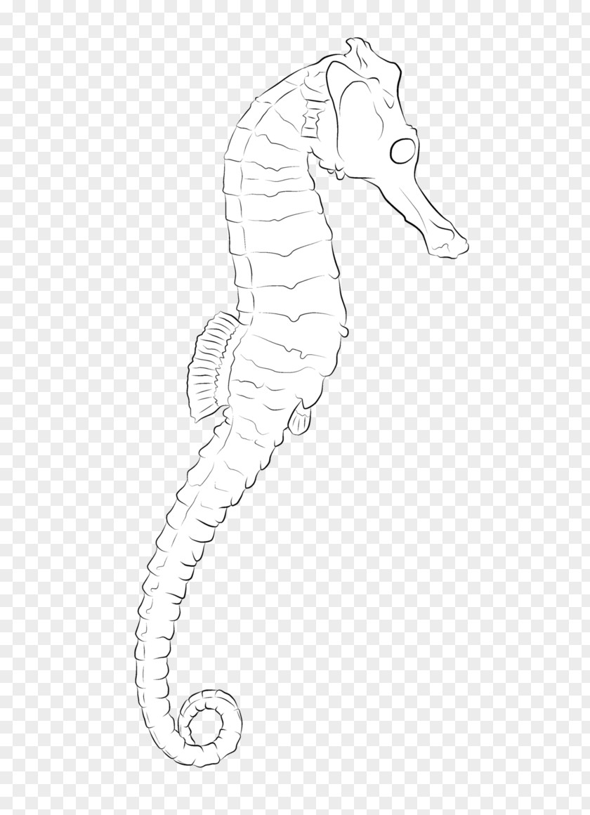 Sea Horse Seahorse Line Art Pipefishes And Allies Drawing /m/02csf PNG