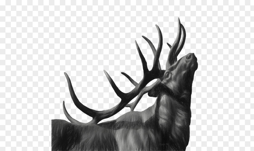 T-shirt Elk Moose Artist PNG