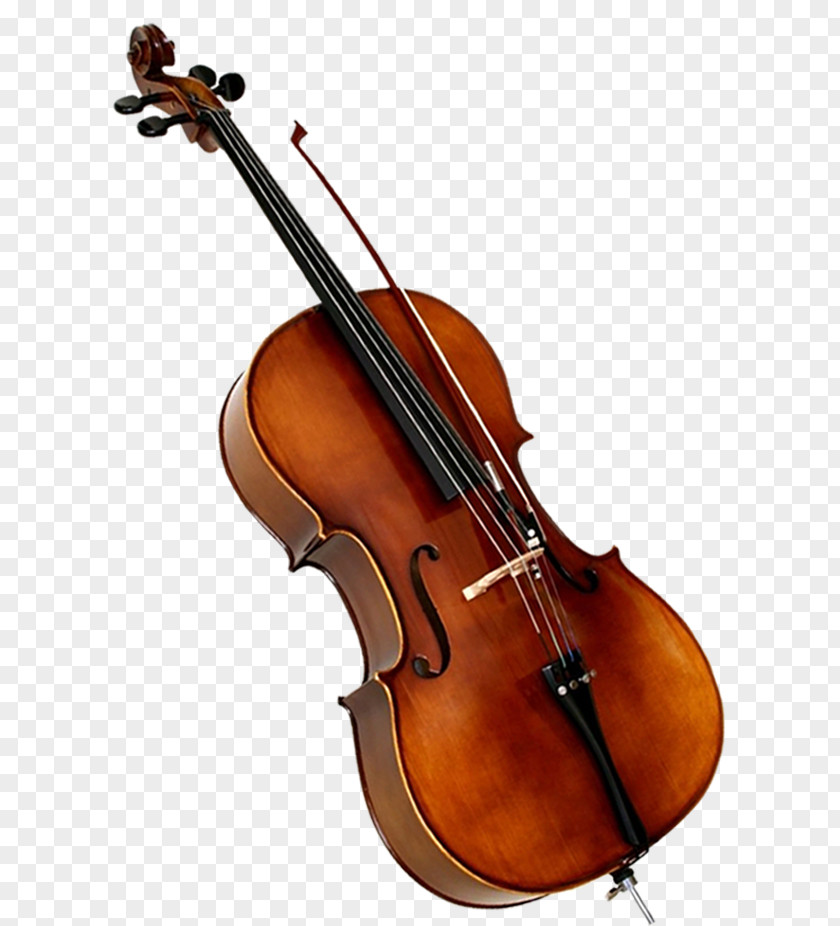A Violin Cello Double Bass Musical Instrument PNG