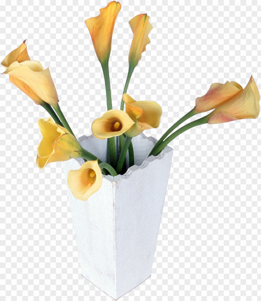 Cai Floral Design Cut Flowers Flower Bouquet Vase PNG