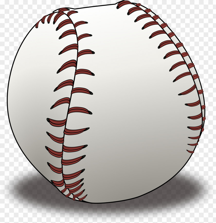 Einstein Vector Baseball Bats Clip Art PNG