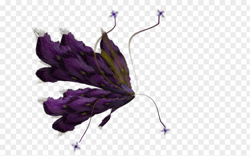 Fairy Art Clip PNG