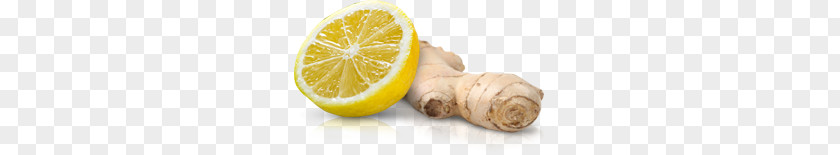 Ginger PNG clipart PNG